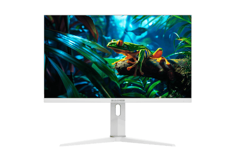 Flat Gaming Monitor Sades 27